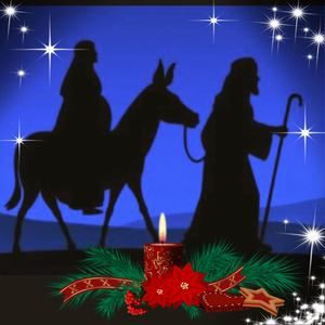 Meet your Posher, Beth ann